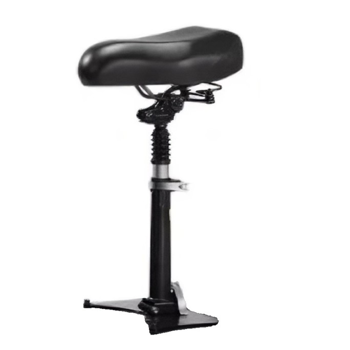 Scaun pentru trotineta electrică AERIUM H5600 Dual